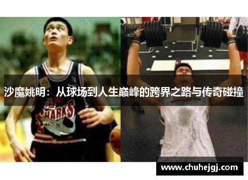 沙魔姚明：从球场到人生巅峰的跨界之路与传奇碰撞