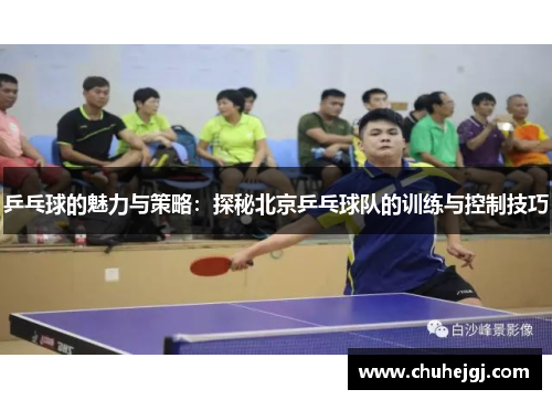 乒乓球的魅力与策略：探秘北京乒乓球队的训练与控制技巧