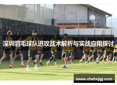 深圳羽毛球队进攻战术解析与实战应用探讨