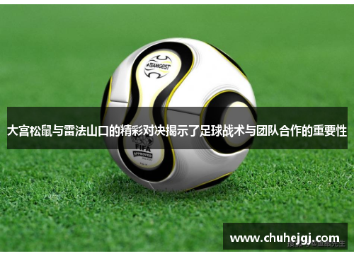 大宫松鼠与雷法山口的精彩对决揭示了足球战术与团队合作的重要性
