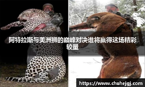 阿特拉斯与美洲狮的巅峰对决谁将赢得这场精彩较量