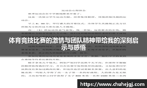 体育竞技比赛的激情与团队精神带给我的深刻启示与感悟